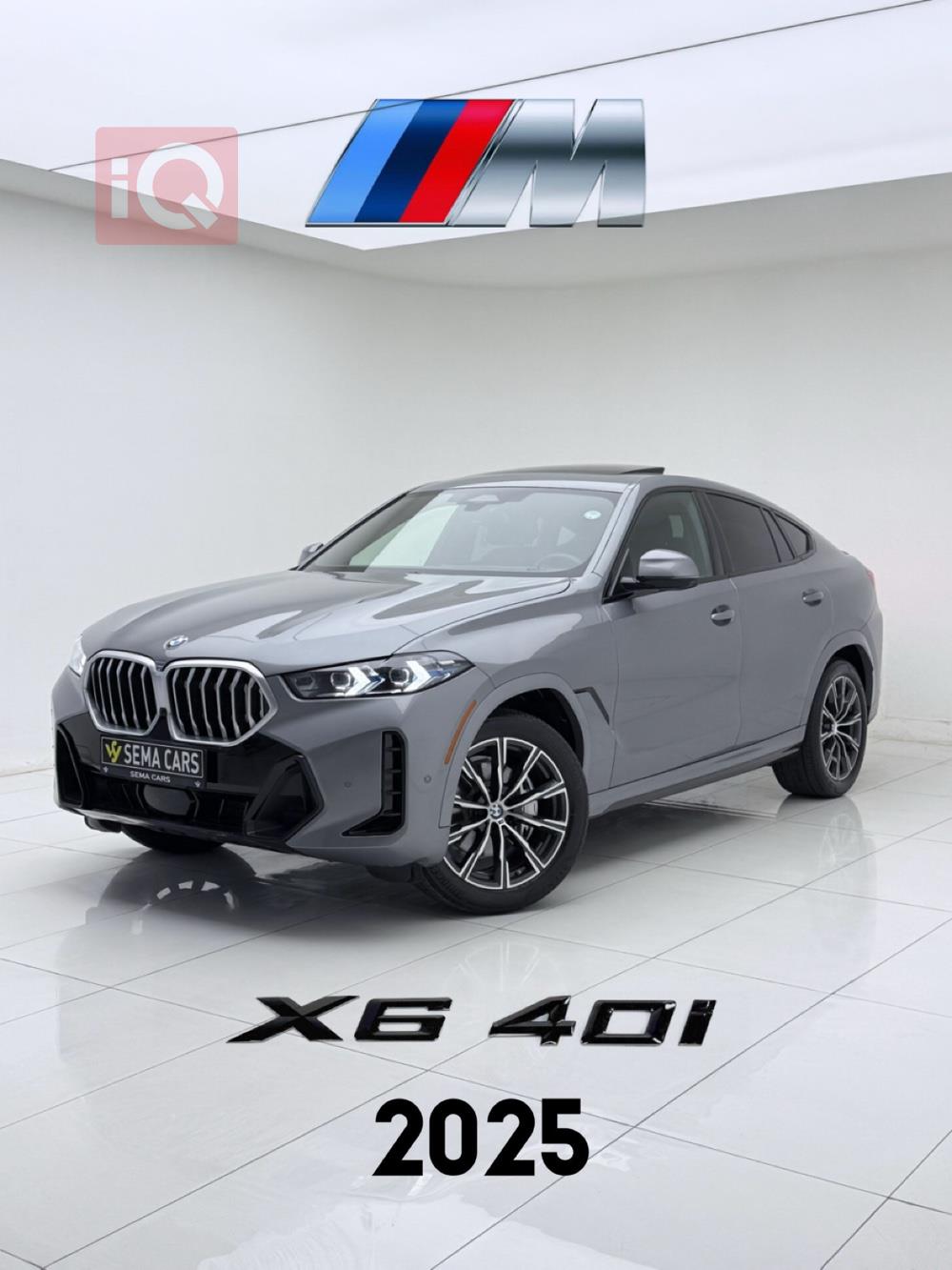 بي ام دبليو X6